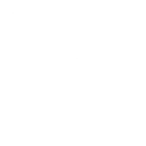 Web Design & Development
